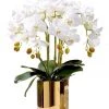 Hot Sale 🎁 Vicky Yao Real Touch 5 Stems White Orchids arrangement ❤️