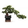 Flash Sale 😉 Vicky Yao Artificial Bonsai in Black Pot with Real Tree Trunk ✨