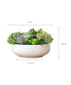 Outlet 🤩 Vicky Yao Artificial succulents Arrangement 🤩 -Deals Home Décor Store 837982450 3 720x928