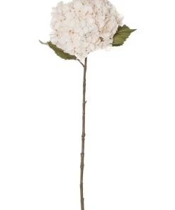 Brand new 😀 Rogue Dried look Hydrangea Stem 26x23x66cm 😉