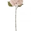 Outlet ⭐ Rogue Dried look Hydrangea Stem 26x23x66cm 💯