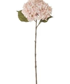 Outlet β Rogue Dried look Hydrangea Stem 26x23x66cm π―