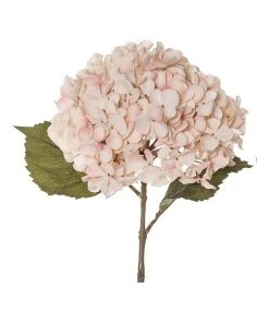 Outlet ⭐ Rogue Dried look Hydrangea Stem 26x23x66cm 💯 -Deals Home Décor Store 839696680 3 720x928
