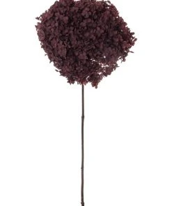 Flash Sale ⌛ Rogue Preserved Anna Hydrangea Burgundy 60x20x20cm ✨