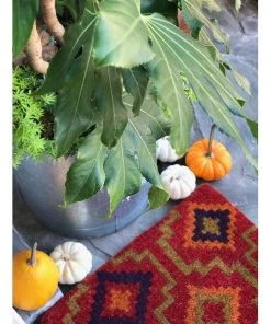 Best Pirce 🥰 Fab Habitat New Lhasa Coir Doormat 45x75 cm 🛒