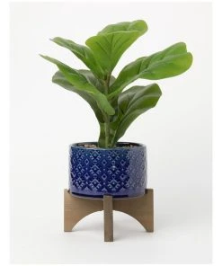 Outlet 🌟 Australian House & Garden Denim Potted Taro Plant Small ✨