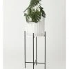 Brand new 🧨 Vue Pulse 80cm White Bamboo And Metal Planter Stand 😉