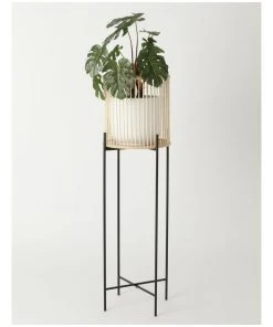 Best Pirce βοΈ Vue Pulse 100cm Natural Bamboo And Metal Planter Stand β