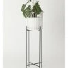 Buy ✔️ Vue Pulse 100cm White Bamboo And Metal Planter Stand 🎉
