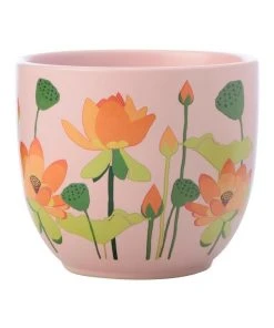 New ✨ Maxwell & Williams Royal Botanic Gardens Lotus Planter Pot 12cm Pink ❤️