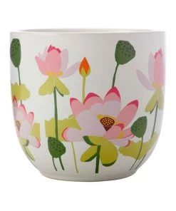 Top 10 🧨 Maxwell & Williams Royal Botanic Gardens Lotus Planter Pot 14cm White ⭐