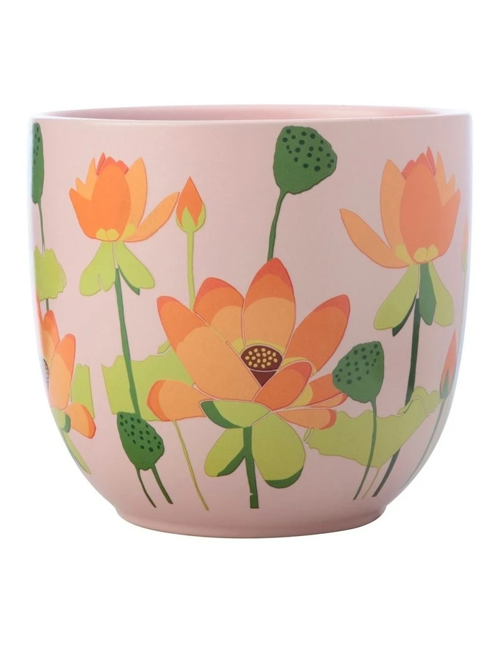 Deals ⌛ Maxwell & Williams Royal Botanic Gardens Lotus Planter Pot 14cm Pink ✔️ 1 Deals ⌛ Maxwell & Williams Royal Botanic Gardens Lotus Planter Pot 14cm Pink ✔️