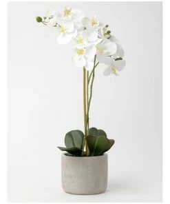 Coupon βοΈ Heritage Real Touch Phalaenopsis 61cm White β