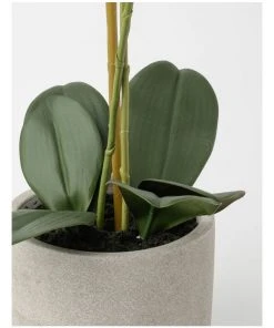 Coupon ✔️ Heritage Real Touch Phalaenopsis 61cm White ⭐ -Deals Home Décor Store 852151780 3 720x928