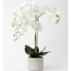 Brand new ⌛ Heritage Real Touch Phalaenopsis 70cm White ⭐
