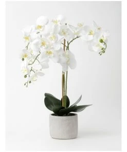 Brand new ⌛ Heritage Real Touch Phalaenopsis 70cm White ⭐