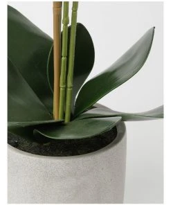 Brand new ⌛ Heritage Real Touch Phalaenopsis 70cm White ⭐ -Deals Home Décor Store 852151960 3 720x928