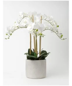 Cheap 👏 Heritage Real Touch Phalaenopsis 80cm 5 Stem White 🔔