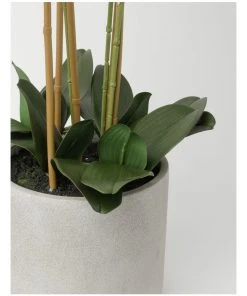 Cheap π Heritage Real Touch Phalaenopsis 80cm 5 Stem White π 5 Cheap π Heritage Real Touch Phalaenopsis 80cm 5 Stem White π -Deals Home DΓ©cor Store 852152050 3 720x928