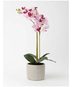 Flash Sale β€οΈ Heritage Real Touch Phalaenopsis 61cm Pink π₯°