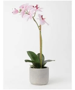 Best Sale 🌟 Heritage Real Touch Phalaenopsis 45cm 1 Stem Pink ⭐