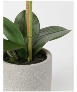 Best Sale 🌟 Heritage Real Touch Phalaenopsis 45cm 1 Stem Pink ⭐ -Deals Home Décor Store 852152230 3 720x928