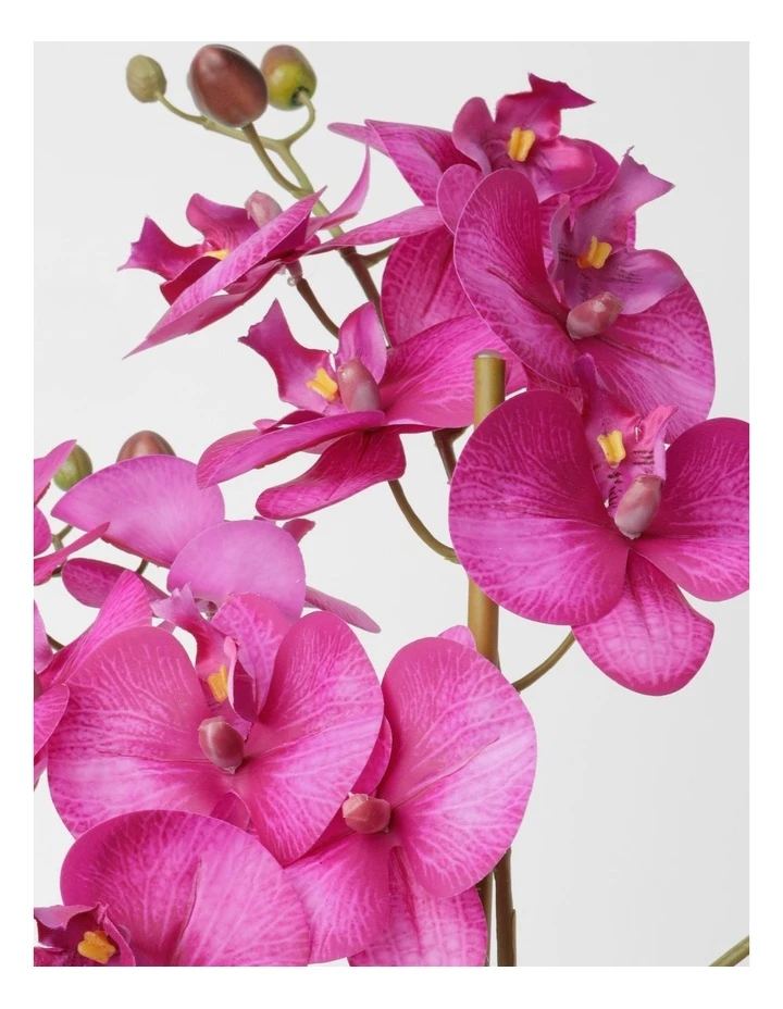 Top 10 π Heritage Real Touch Phalaenopsis 61cm Purple π 2 Top 10 π Heritage Real Touch Phalaenopsis 61cm Purple π - Image 2