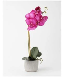 Best reviews of ✨ Heritage Real Touch Phalaenopsis 45cm 1 Stem Purple ⌛