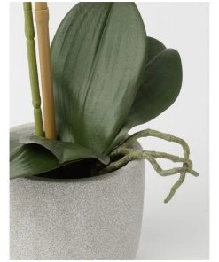 Best reviews of ✨ Heritage Real Touch Phalaenopsis 45cm 1 Stem Purple ⌛ -Deals Home Décor Store 852152410 3 720x928