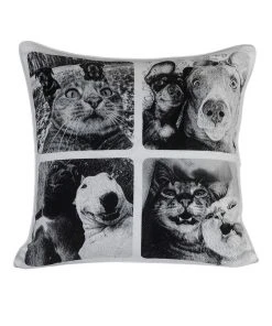 Best reviews of 🤩 M.M Linen Selfies Cushion In Multi 😉