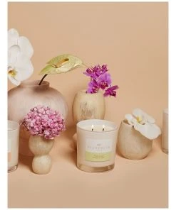Promo π Palm Beach Collection Jasmine & Lime 420g Scented Soy Candle π 7 Promo π Palm Beach Collection Jasmine & Lime 420g Scented Soy Candle π -Deals Home DΓ©cor Store 854777710 4 720x928