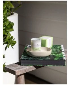 Deals ⌛ Palm Beach Collection Jasmine & Lime 90g Scented Soy Candle ⭐