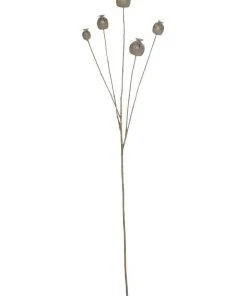 Brand new β Rogue Poppy Seed Spray β€οΈ