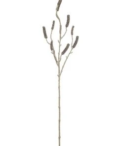 New β¨ Rogue Callistemon Branch β€οΈ