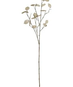 Flash Sale ⌛ Rogue Silver Dollar Spray ❤️