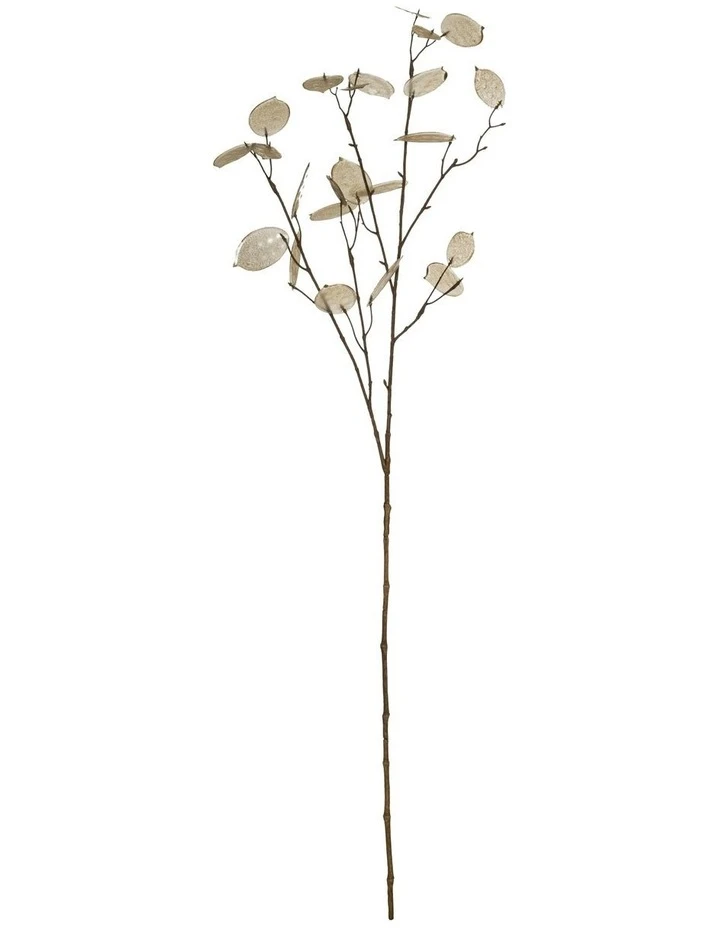 Flash Sale ⌛ Rogue Silver Dollar Spray ❤️ 1 Flash Sale ⌛ Rogue Silver Dollar Spray ❤️