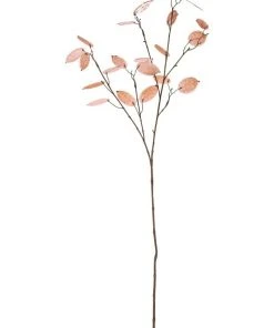 Cheapest π Rogue Silver Dollar Spray β