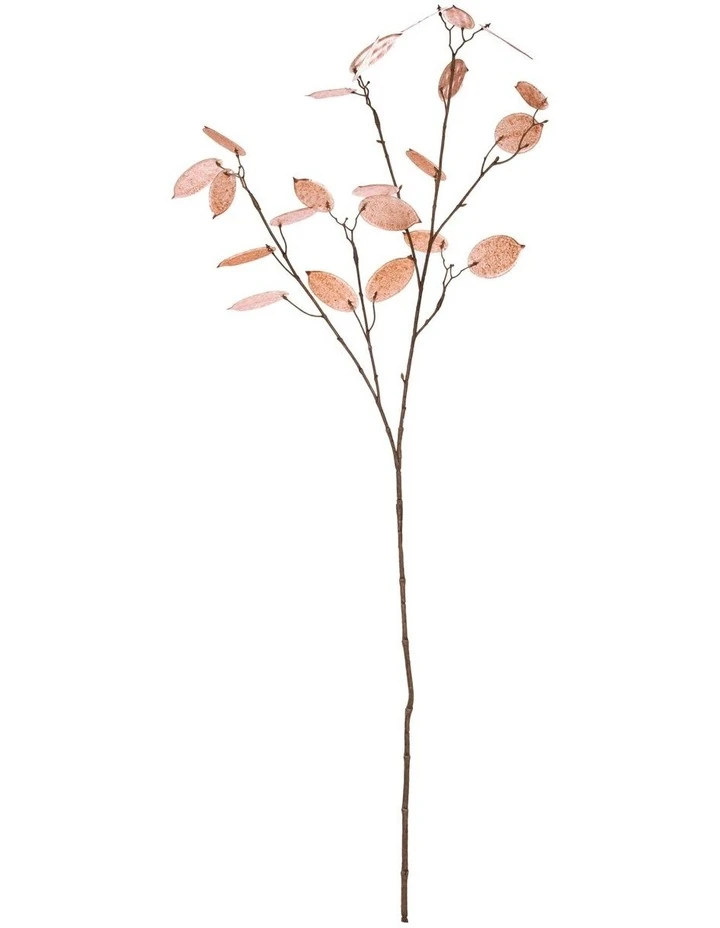 Cheapest π Rogue Silver Dollar Spray β 1 Cheapest π Rogue Silver Dollar Spray β