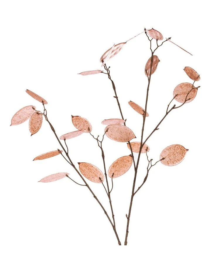 Cheapest π Rogue Silver Dollar Spray β 2 Cheapest π Rogue Silver Dollar Spray β - Image 2