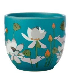 Best deal ⭐ Maxwell & Williams Royal Botanic Gardens Lotus Planter Pot 12cm Aqua 🥰
