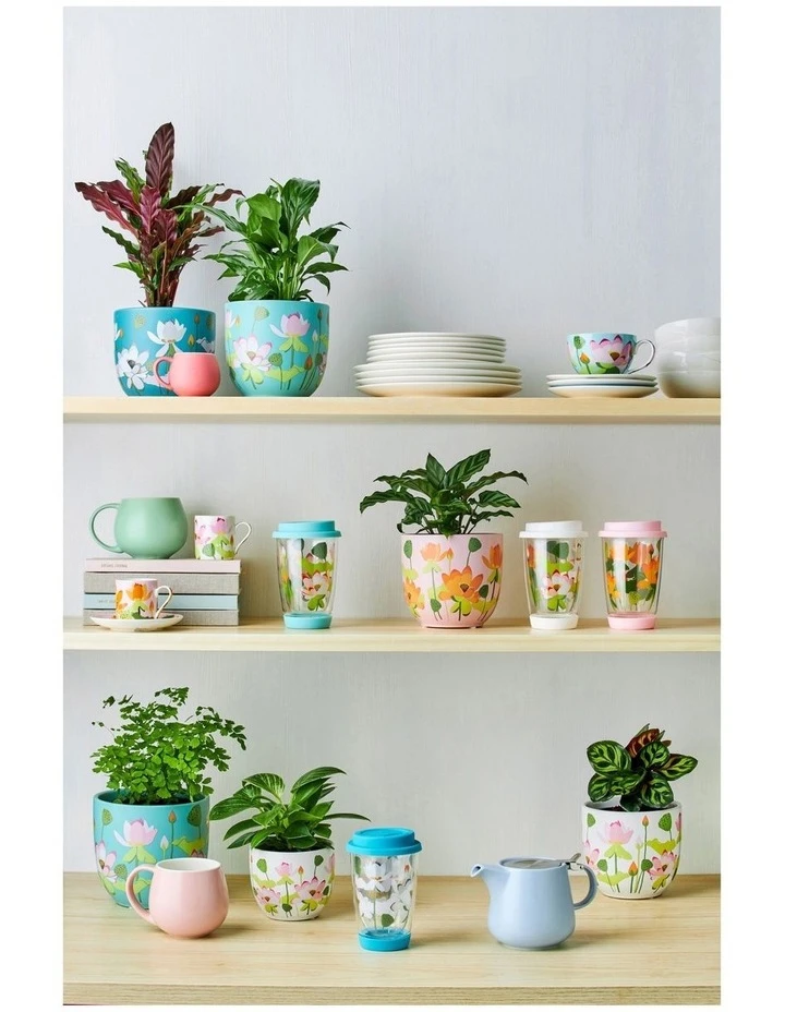 Coupon β Maxwell & Williams Royal Botanic Gardens Lotus Planter Pot 16cm Mint π 2 Coupon β Maxwell & Williams Royal Botanic Gardens Lotus Planter Pot 16cm Mint π - Image 2