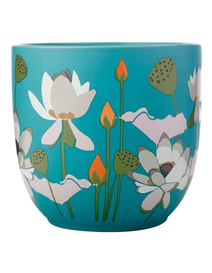 Cheap ✨ Maxwell & Williams Royal Botanic Gardens Lotus Planter Pot 16cm Aqua 🤩 1 Cheap ✨ Maxwell & Williams Royal Botanic Gardens Lotus Planter Pot 16cm Aqua 🤩