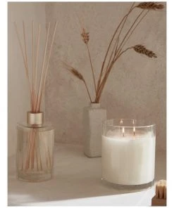 Top 10 🔥 CIRCA Sea Salt & Vanilla Scented Soy Candle 350g ⭐ -Deals Home Décor Store 858831310 3 1 720x928