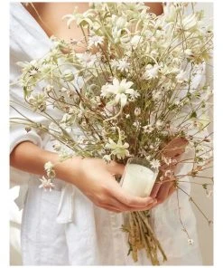 New ⌛ CIRCA Jasmine & Magnolia Scented Soy Candle 60g ✨ -Deals Home Décor Store 858831580 3 1 720x928