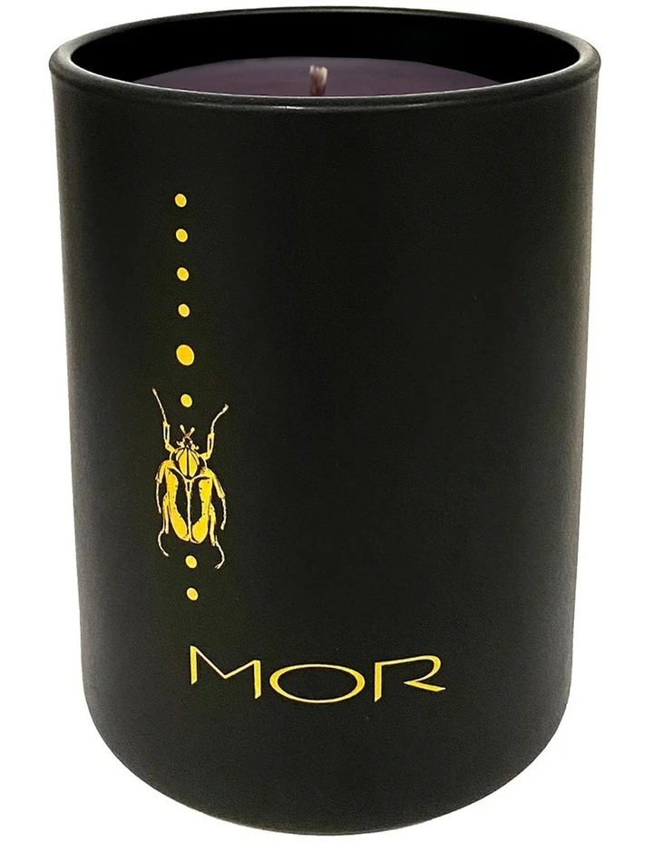 New 🧨 MOR Mr Beaux Jangles Fragrant Candle - Fraser Fir & Sparkling Champagne 250g 🤩 3 New 🧨 MOR Mr Beaux Jangles Fragrant Candle - Fraser Fir & Sparkling Champagne 250g 🤩 - Image 3