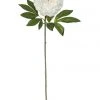 Best Sale 👍 Rogue Heirloom Peony Stem 25x18x79cm White 🌟
