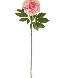 Top 10 π€© Rogue Heirloom Peony Stem 25x18x79cm Pink β