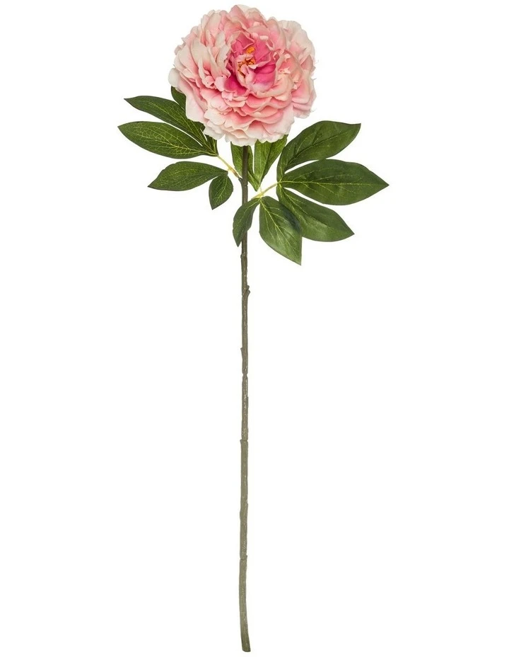Top 10 π€© Rogue Heirloom Peony Stem 25x18x79cm Pink β 1 Top 10 π€© Rogue Heirloom Peony Stem 25x18x79cm Pink β