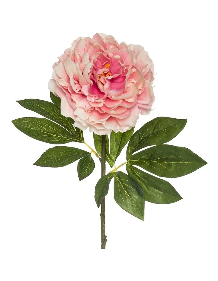 Top 10 π€© Rogue Heirloom Peony Stem 25x18x79cm Pink β 2 Top 10 π€© Rogue Heirloom Peony Stem 25x18x79cm Pink β - Image 2