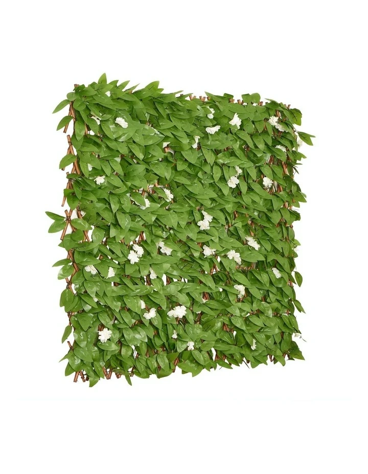 Buy ⭐ Cooper & Co Artificial Cherry Blossom Expandable Trellis 200cm 🥰 1 Buy ⭐ Cooper & Co Artificial Cherry Blossom Expandable Trellis 200cm 🥰